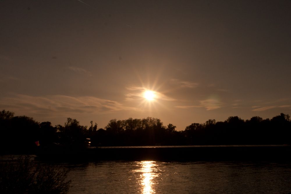 Abendspaziergang am Rhein 4