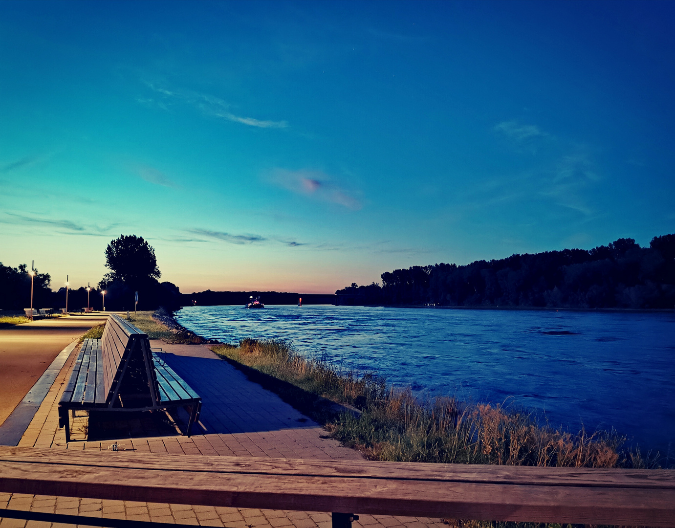 Abendspaziergang am Rhein 