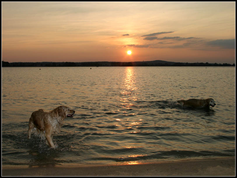 Abendspaziergang am See