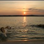 Abendspaziergang am See