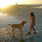 Abendspaziergang am Strand mit Hund