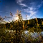 Abendspaziergang an der Isar