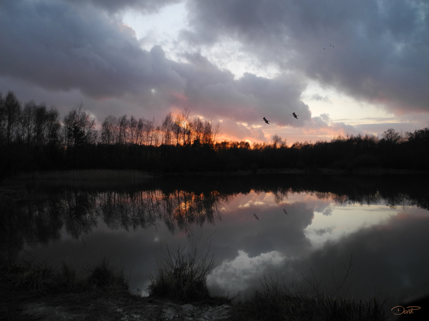 Abendspaziergang an der Tongrube in der Wahner Heide