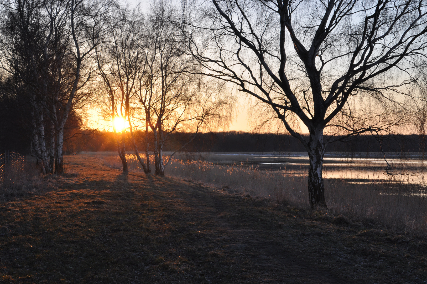 Abendspaziergang auf dem Deich