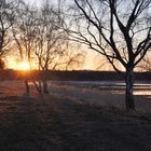 Abendspaziergang auf dem Deich