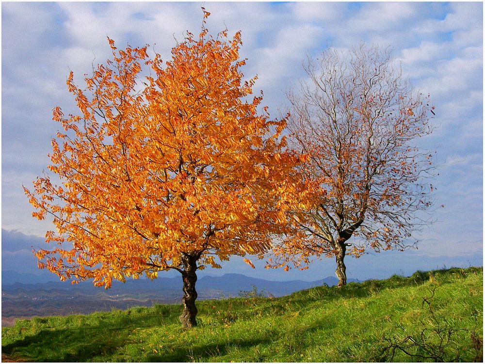 Abendspaziergang auf dem Schönberg zu Freiburg