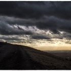 Abendspaziergang auf der Halde