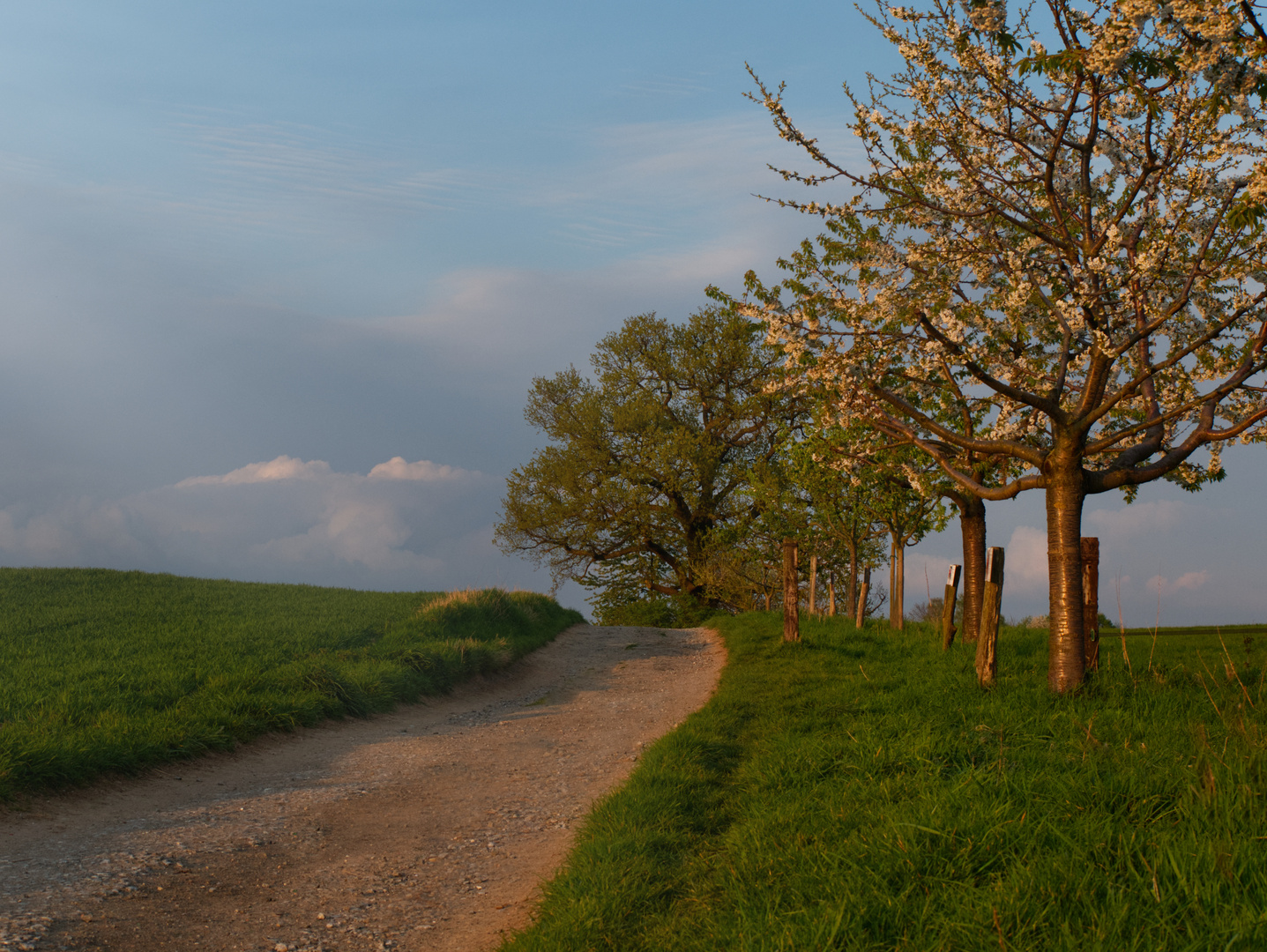 Abendspaziergang