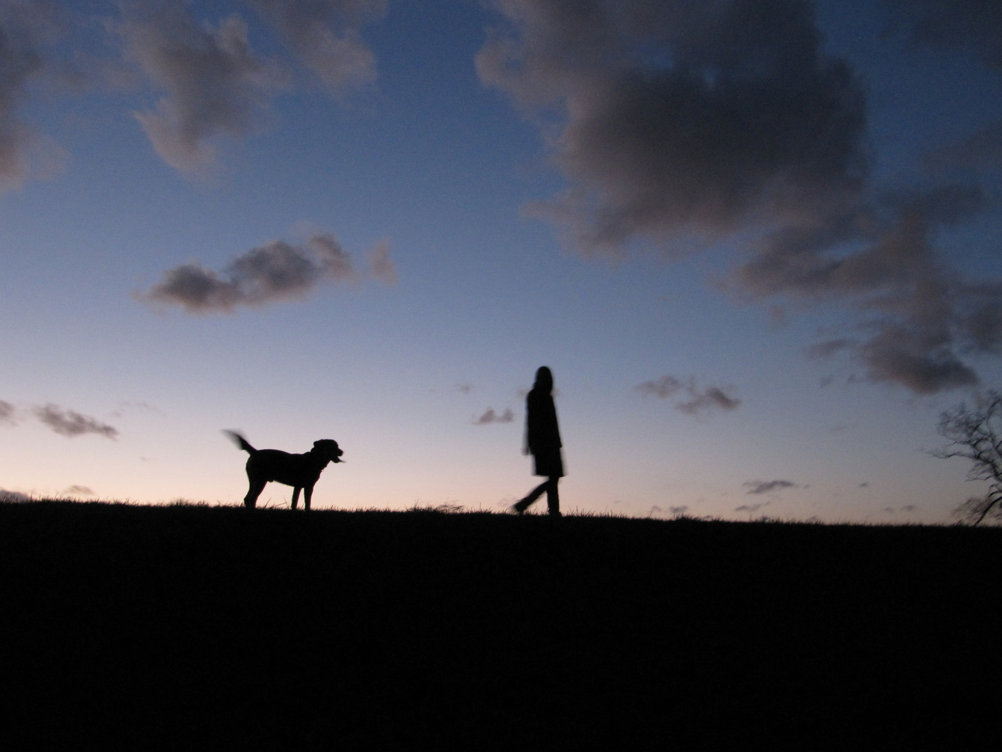 Abendspaziergang