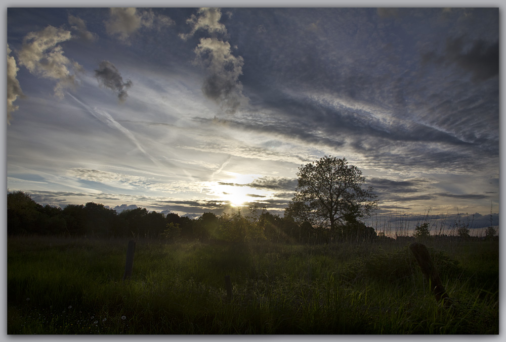 Abendspaziergang