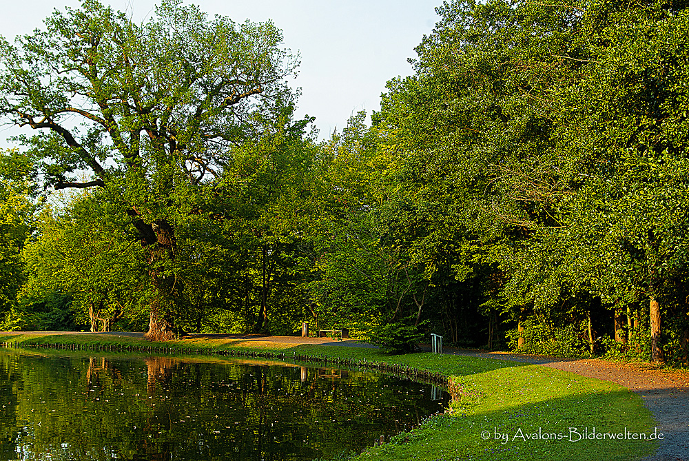 Abendspaziergang