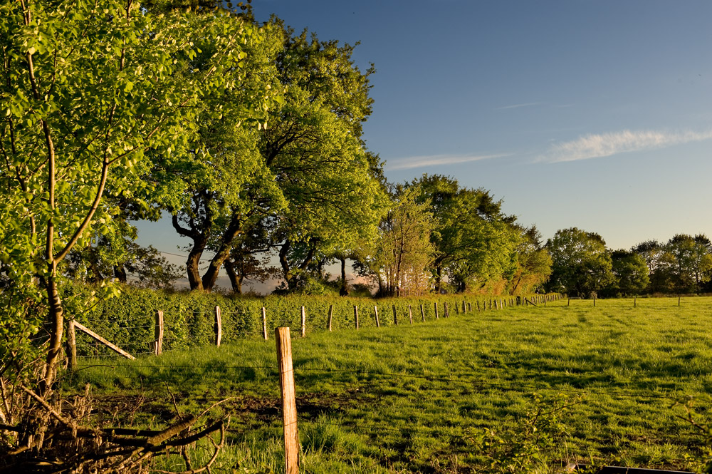 Abendspaziergang