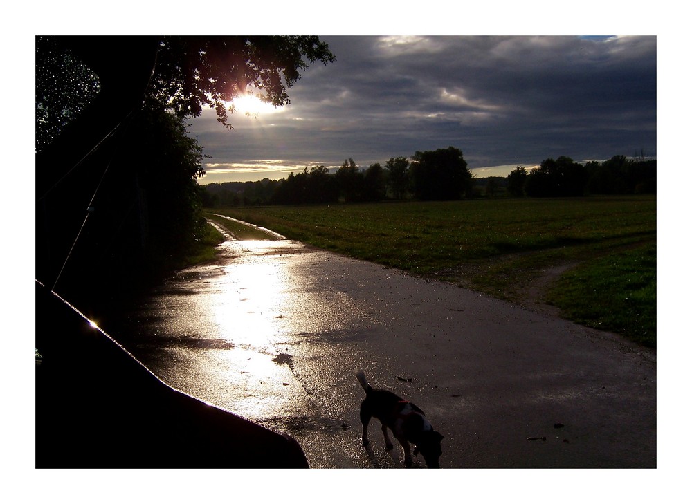 Abendspaziergang bei Regen