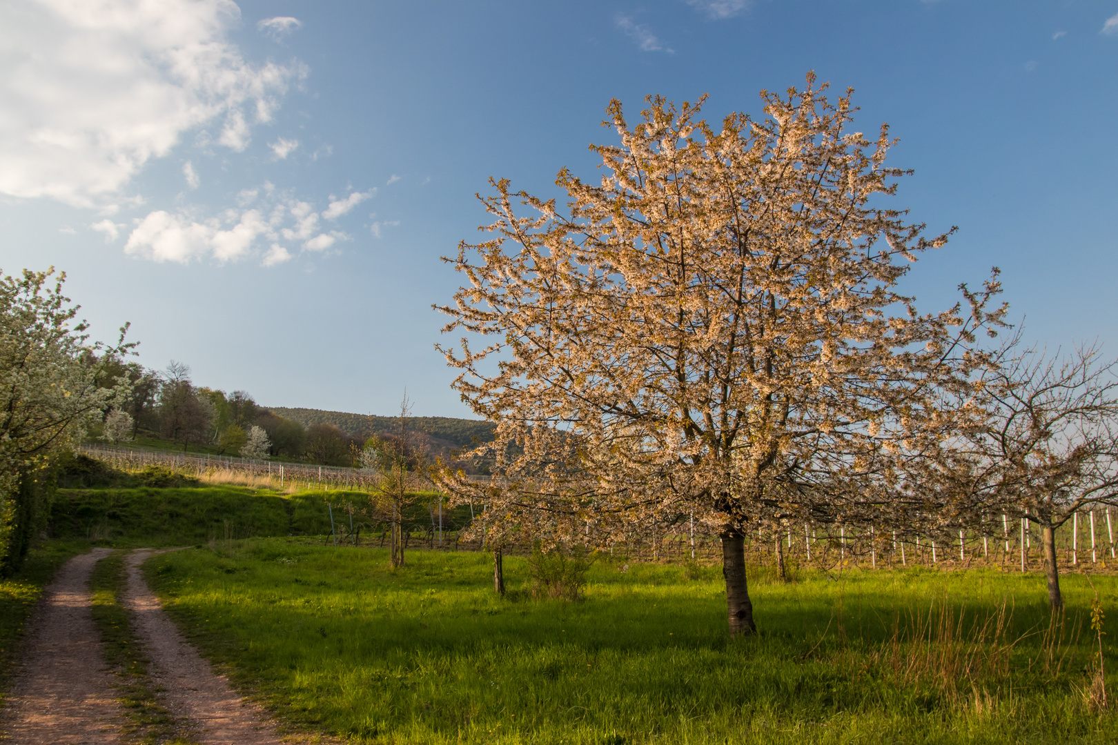 Abendspaziergang bei St. Martin