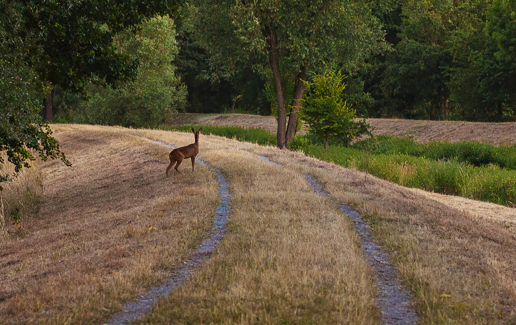 Abendspaziergang