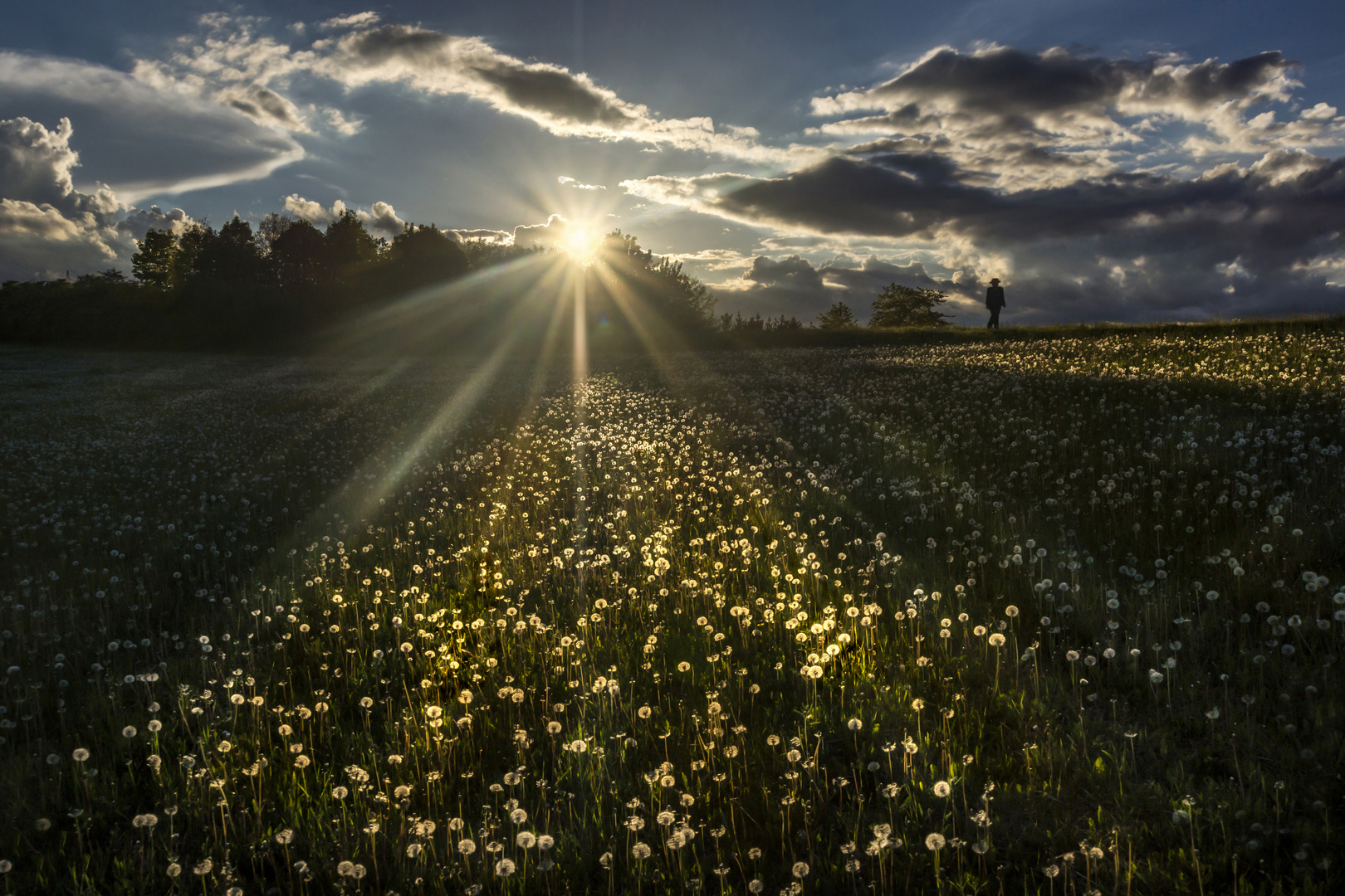 Abendspaziergang