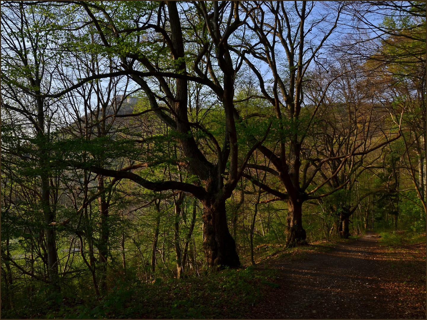 Abendspaziergang