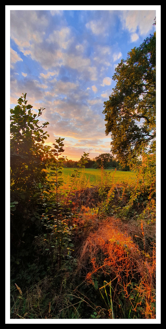 Abendspaziergang