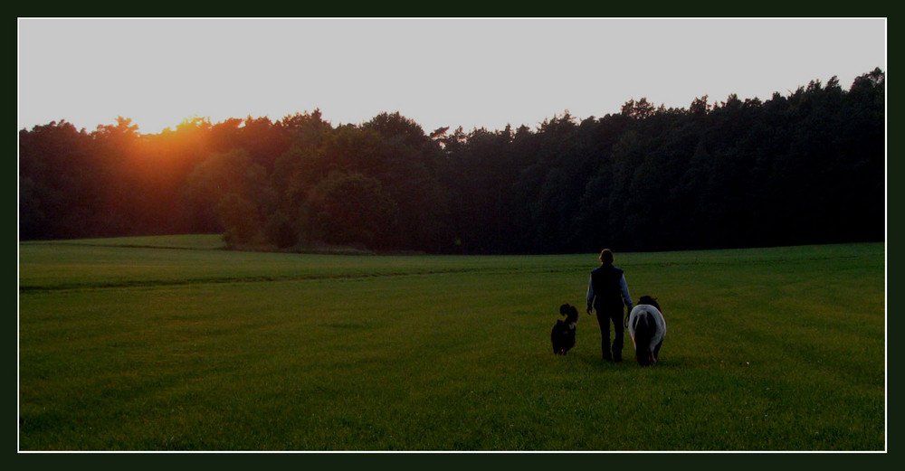 Abendspaziergang