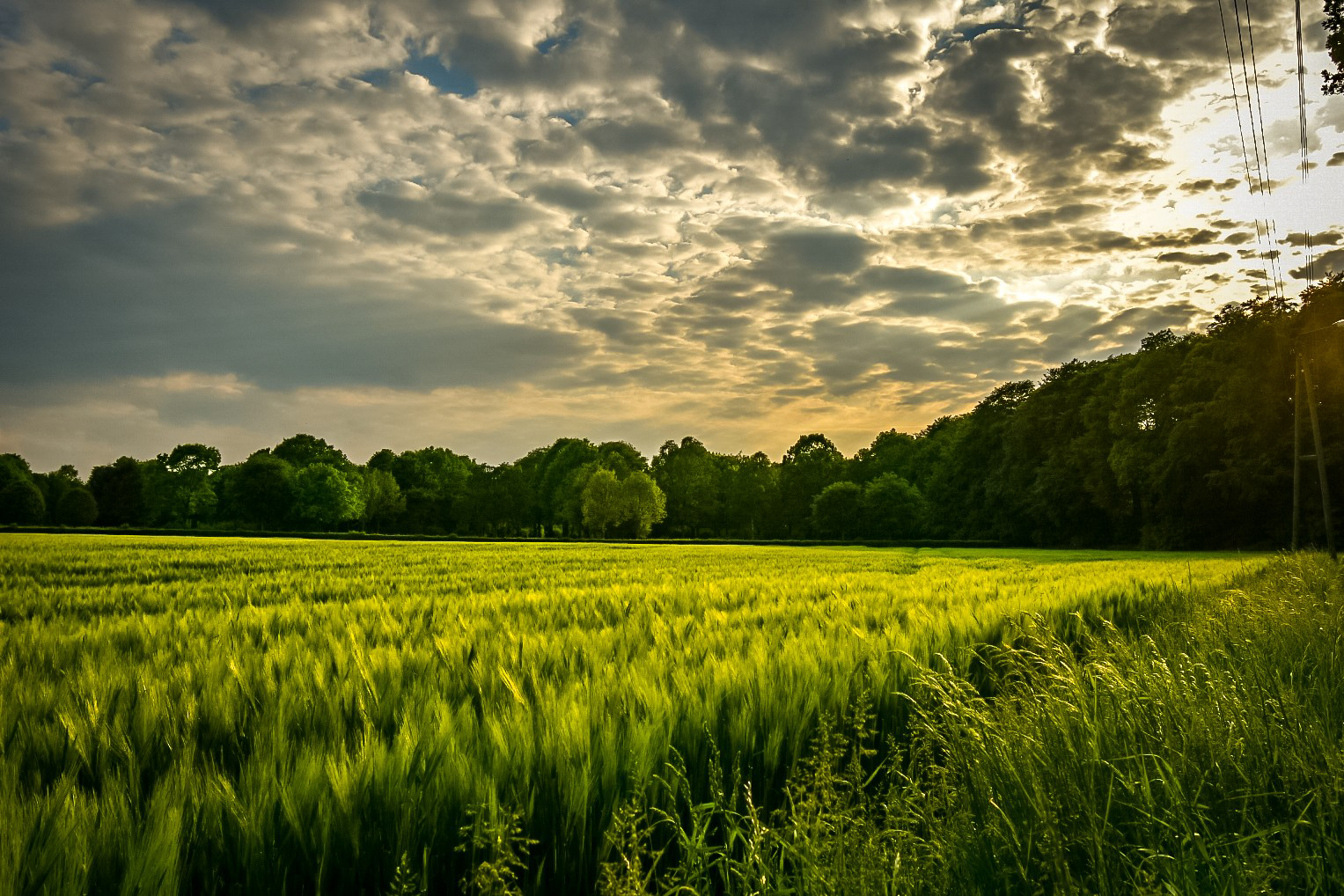 Abendspaziergang