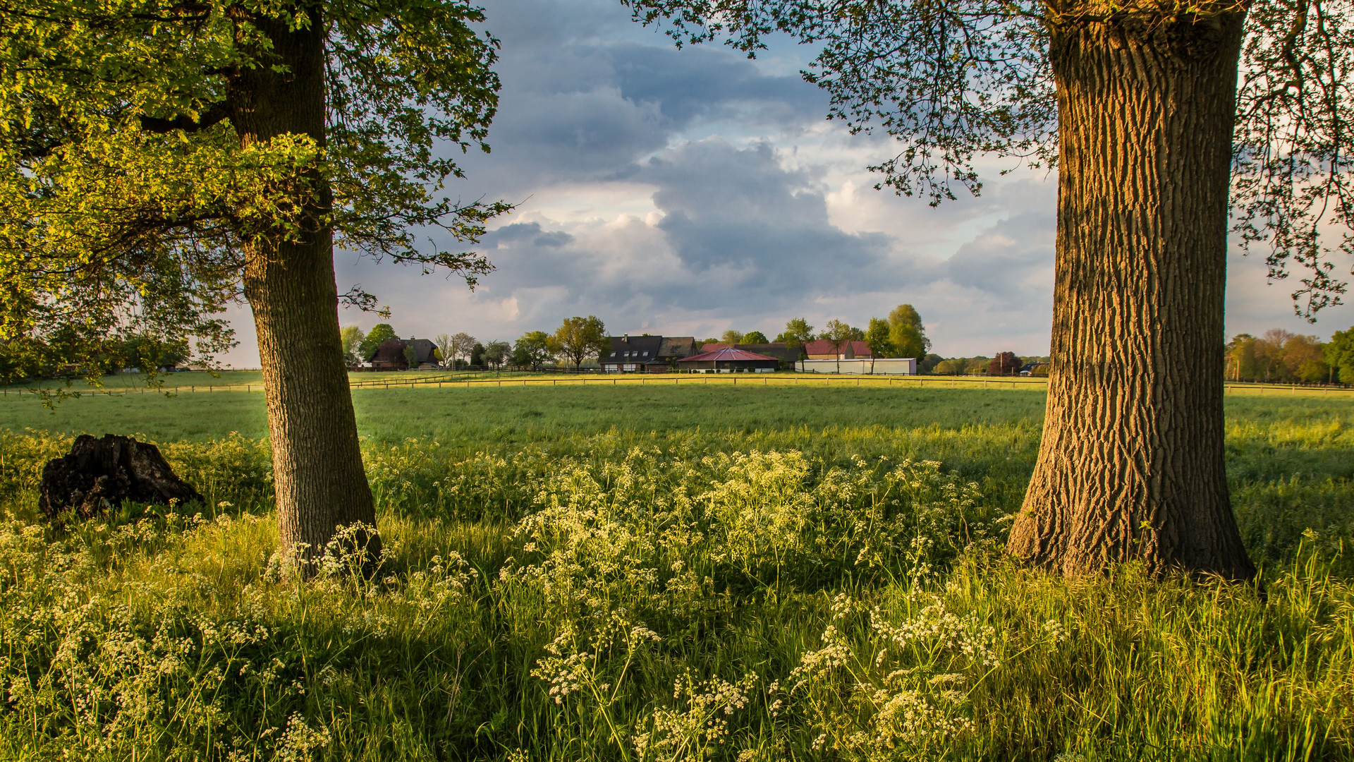 Abendspaziergang