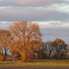 Abendspaziergang