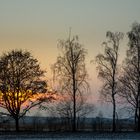 Abendspaziergang im Celler Land 2