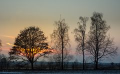 Abendspaziergang im Celler Land 2