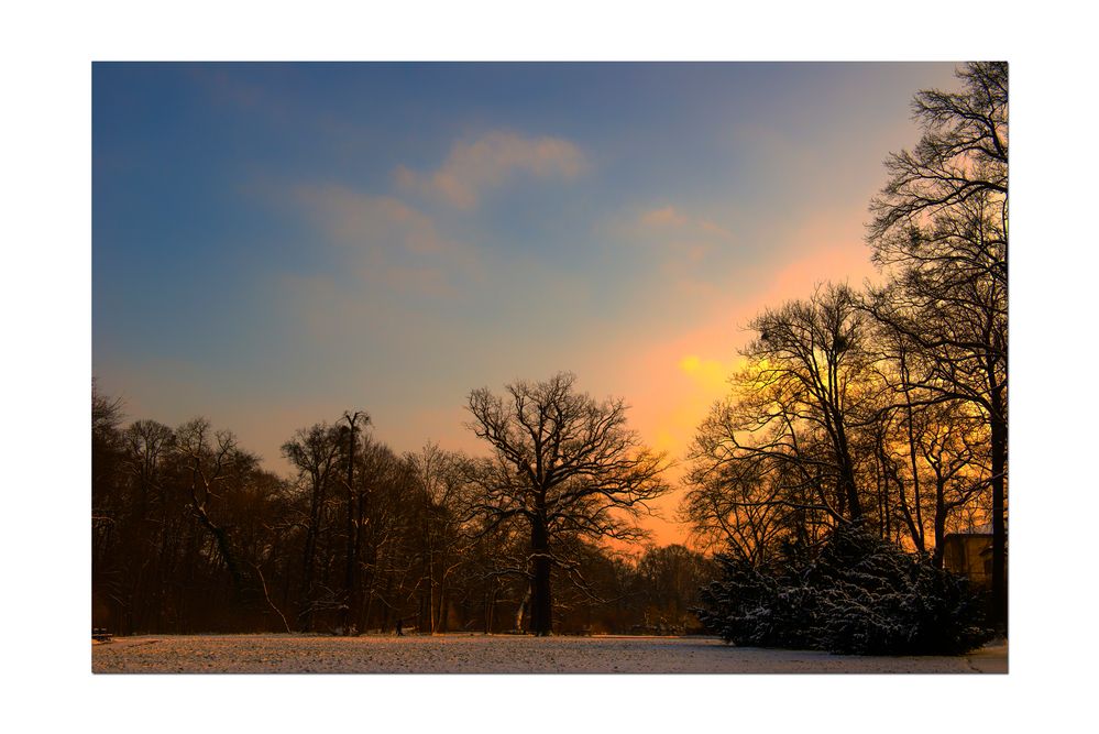 Abendspaziergang im Großen Garten Dresden