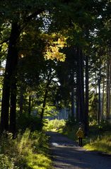 Abendspaziergang im Hevetal 07