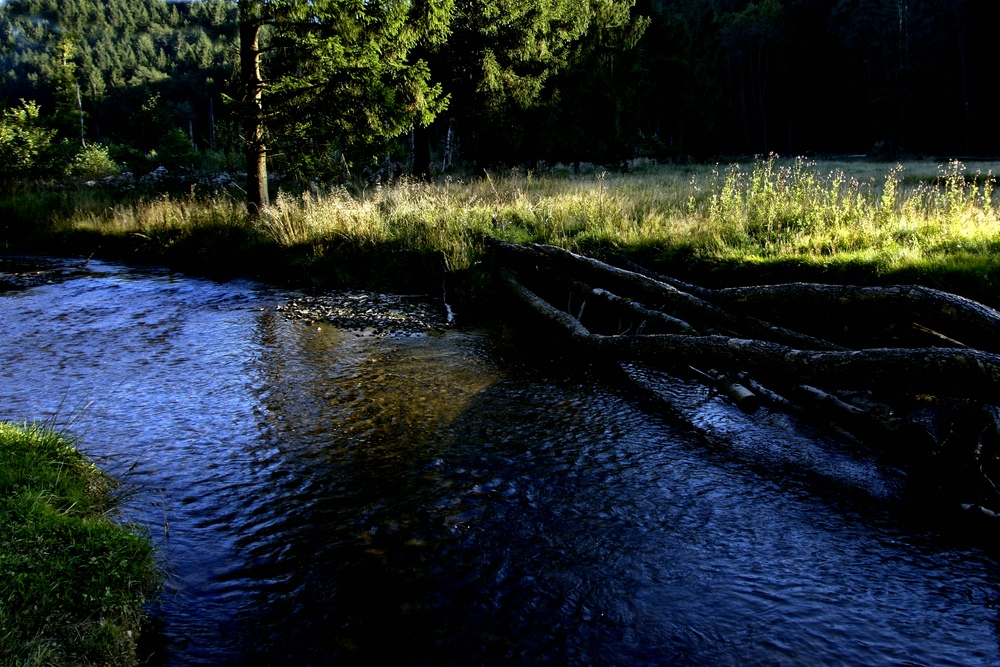 Abendspaziergang im Hevetal 11