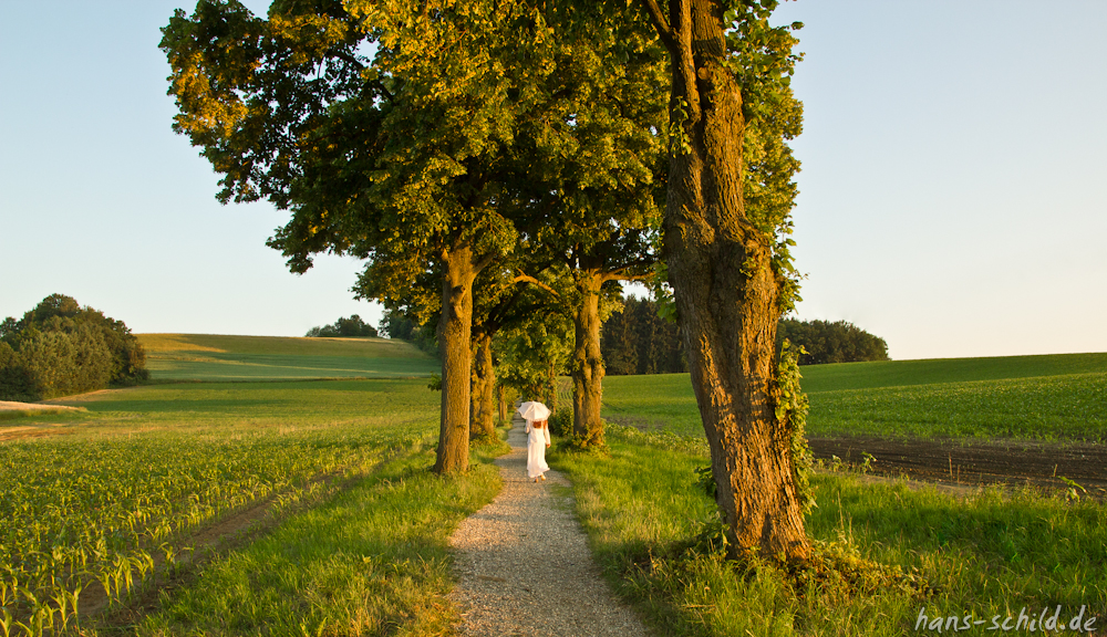 Abendspaziergang im Lindenblütenduft