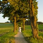 Abendspaziergang im Lindenblütenduft