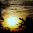 Abendspaziergang im Mauerpark 2