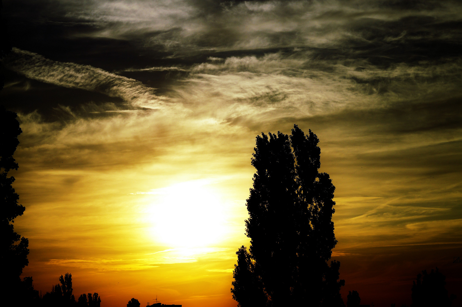 Abendspaziergang im Mauerpark 3