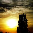 Abendspaziergang im Mauerpark 3