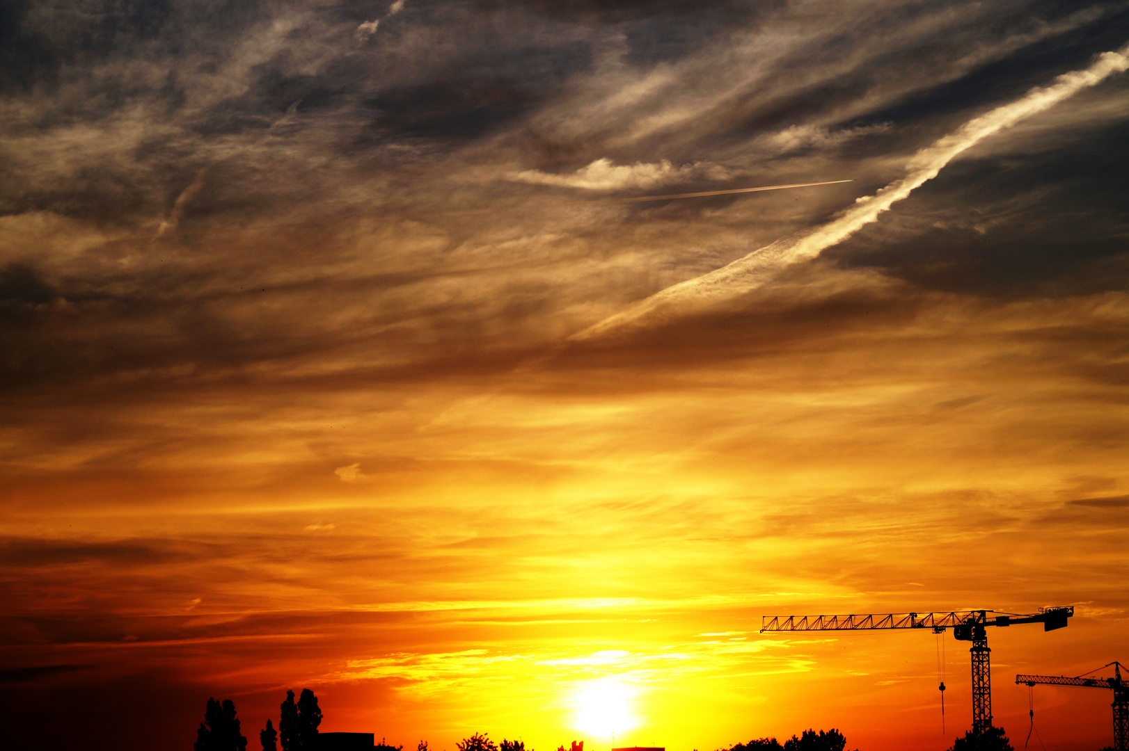 Abendspaziergang im Mauerpark 5