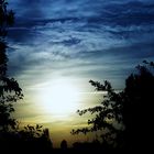 Abendspaziergang im Mauerpark