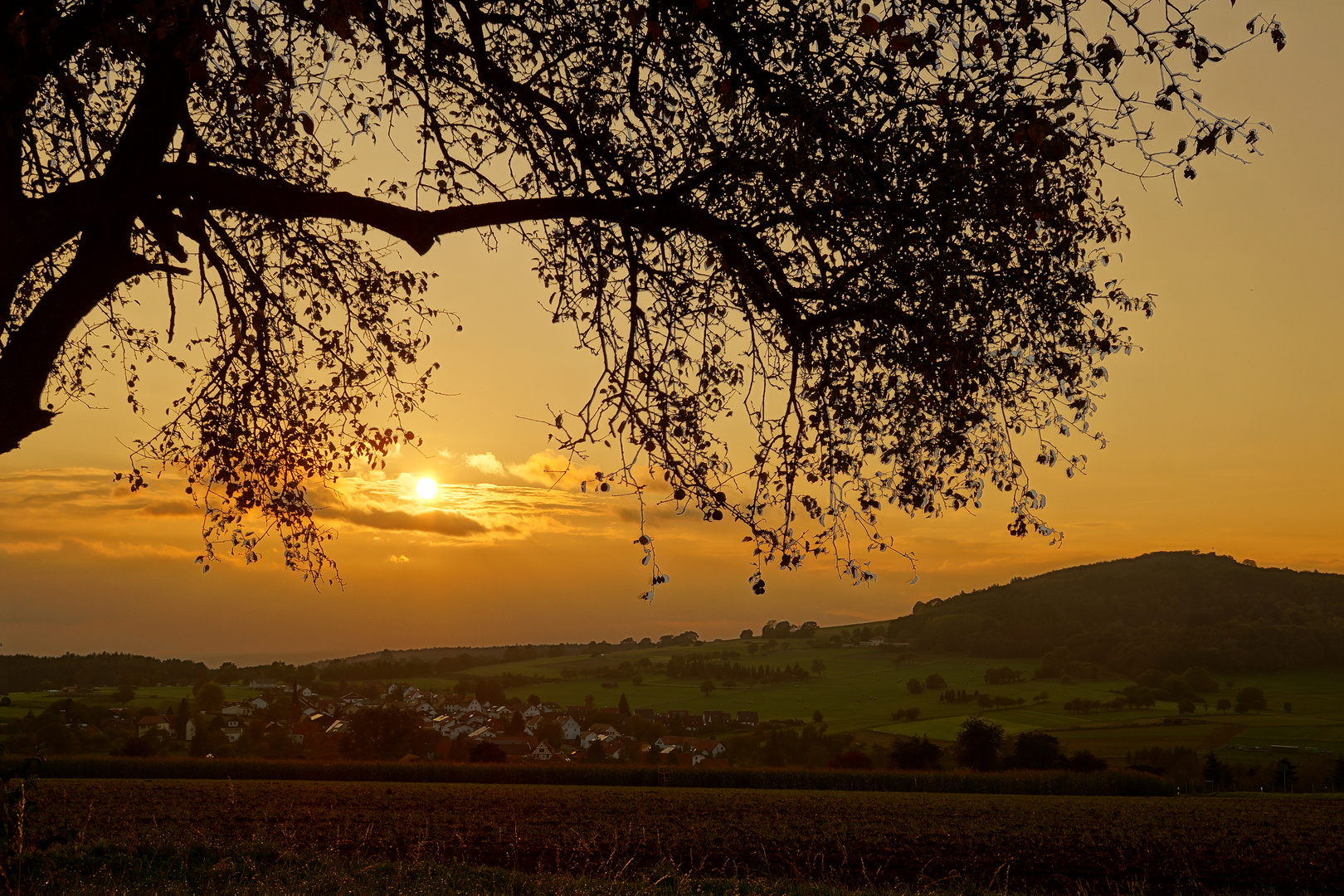 Abendspaziergang im Odenwald