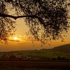 Abendspaziergang im Odenwald