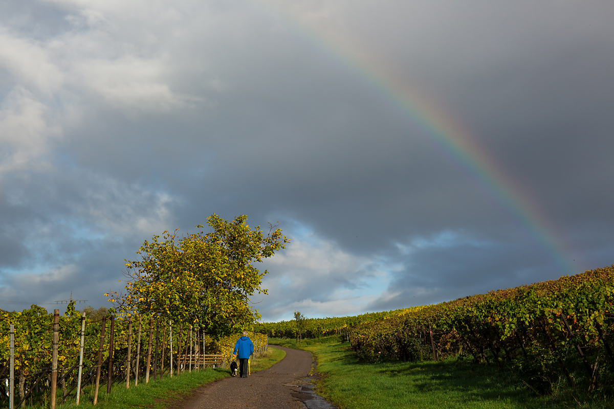 Abendspaziergang im Regen