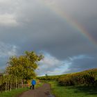 Abendspaziergang im Regen