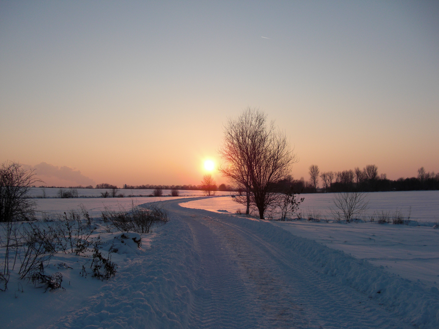 Abendspaziergang im Schnee