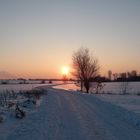 Abendspaziergang im Schnee