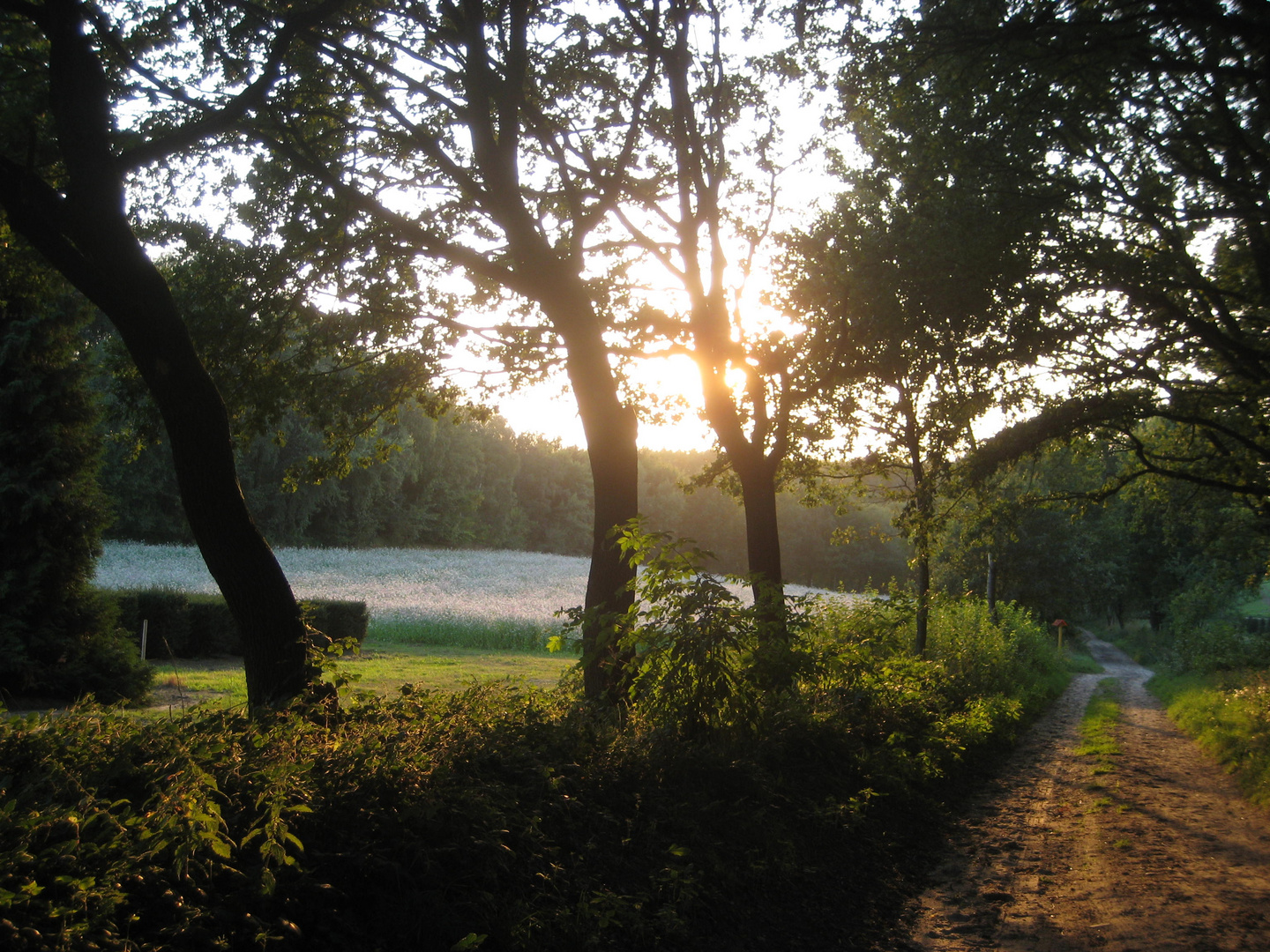 Abendspaziergang im September