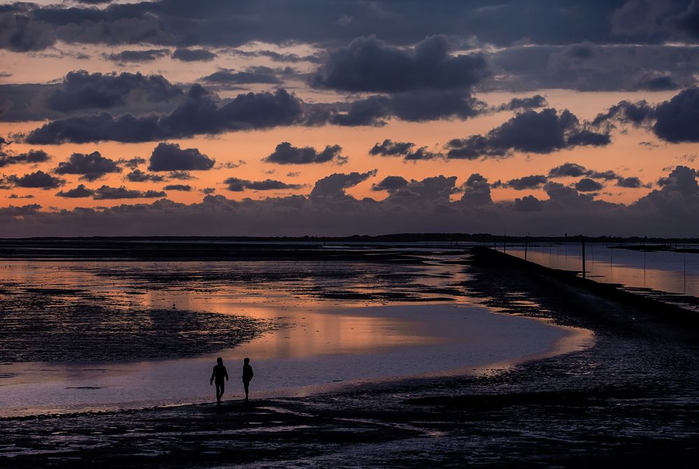 Abendspaziergang im Watt