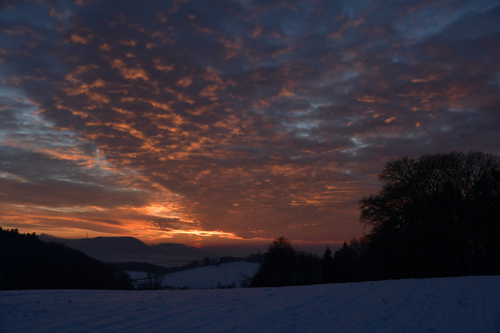 Abendspaziergang im Winter