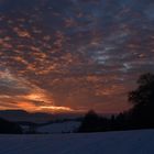 Abendspaziergang im Winter