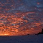 Abendspaziergang im Winter