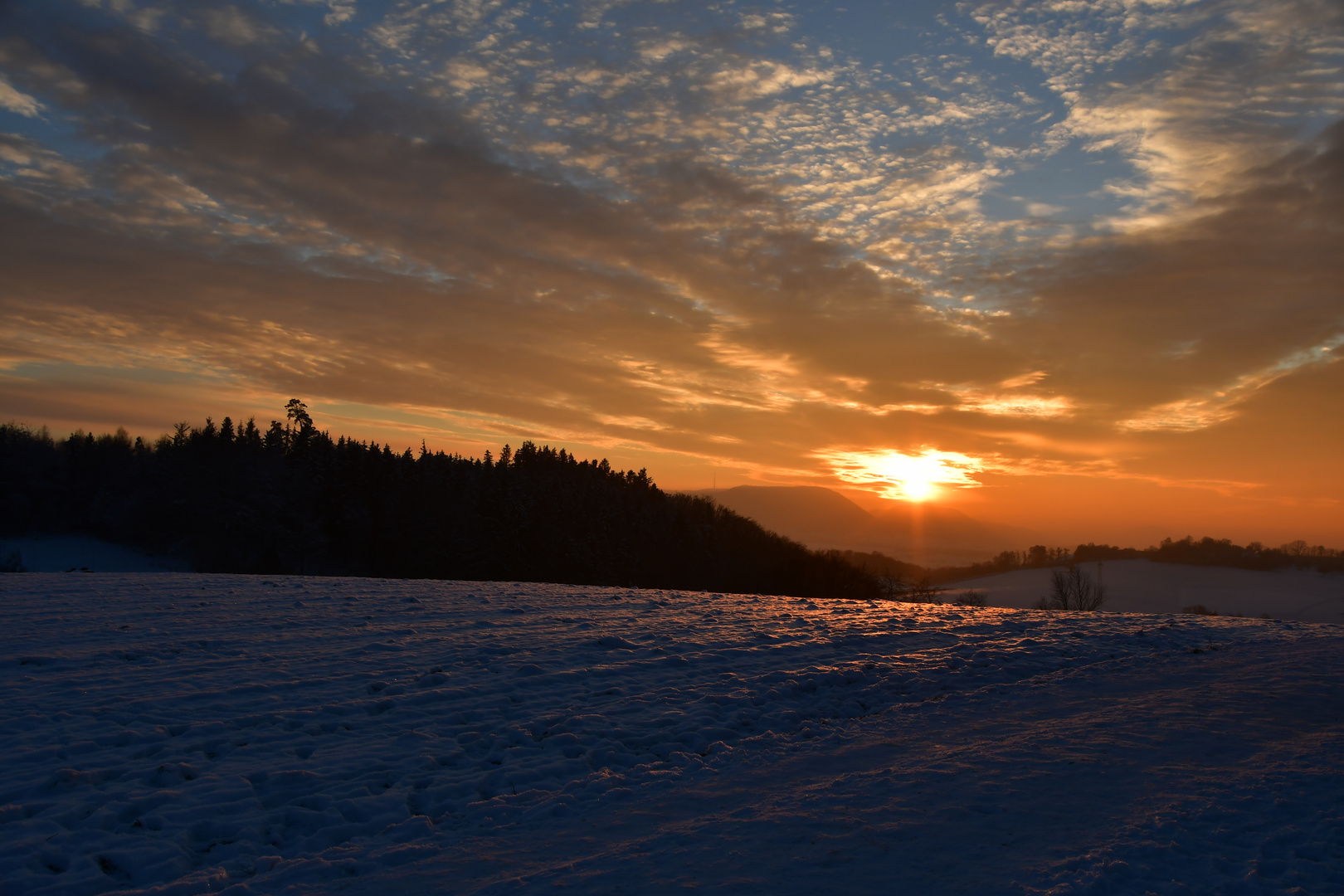 Abendspaziergang im Winter